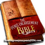 the penis enlargement bible (pe bible) review